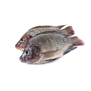 Whole Tilapia