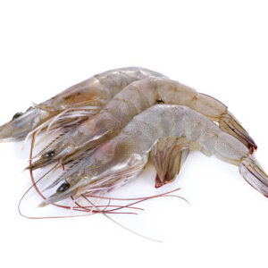 Regular Shrimps