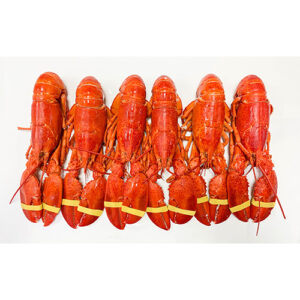 Fresh Lobster